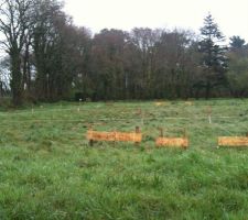 Pose des chaises (implantation de la maison)