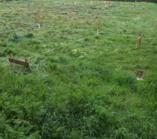 Pose des chaises (implantation de la maison) - autre vue