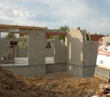 Le champignon sort de terre tr&egrave;s vite!