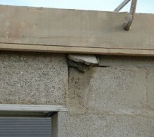 Un petit d&eacute;faut corrig&eacute;