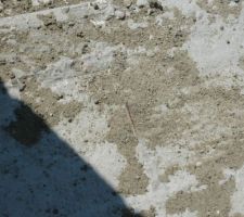 De la feraille sort de la dalle sous les combles, le MO nous rassure, c'est normal ce n'est rien.