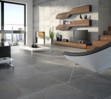 Type de carrelage entrée - beton gris foncé 60*60