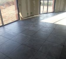 Carrelage piece à vivre