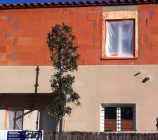 Décroché fini de crépis.
Emplacement des tuyaux d'évacuations du toit terrasse.
