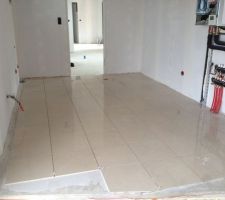 D&eacute;but du carrelage dans le cellier