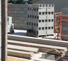 Un invit&eacute; sur le chantier