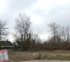 Terrain avant le d&eacute;ffrichement