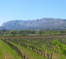 Vue de notre futur salon!!! exposé ouest