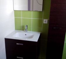 Salle d'eau parentale vert/marron/beige