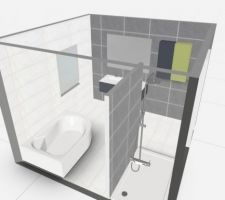SDB du bas, modélisée en 3D