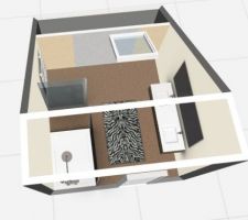 SDB du haut, modélisée 3D
Derrière le "mur" bicolore, c'est un placard. Et le tapis zebre, un délire de Mme
Hauteur de plafond max 3.30m