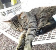 Fait trop chaud pour travailler