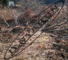 Abatage des arbres 3