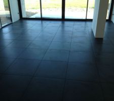 Pi&egrave;ce &agrave; vivre.