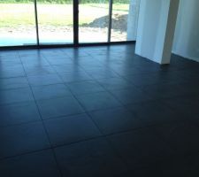 Pi&egrave;ce &agrave; vivre.