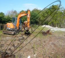 Dessouchage en cours