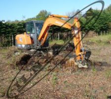 Dessouchage en cours