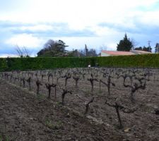 Photo prise de Sud Est vers Nord Ouest