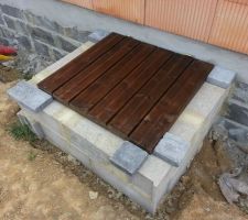 Trappe courette anglaise   pierre (&agrave; poser)