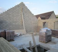 Les tuiles plates Nolibee Palissandre de chez Monier : 7 palettes de 140 tuiles.