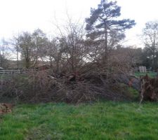 Encore du boulot pour nous...