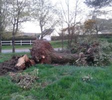 Encore du boulot pour nous...