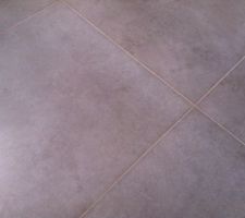 Carrelage salon (il est gris m&ecirc;me si cela ne se voit pas sur la photo)