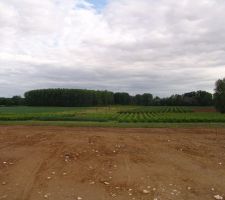 Notre terrain avec vue sur des vignes et vergers.
1 200 m&sup2; en pente douce donc rangs de parpaings suppl&eacute;mentaires &agrave; pr&eacute;voir