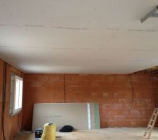 Début de la pose du plafond!
