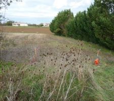 Piquage pour le chemin d'acc&egrave;s (par nos soins)