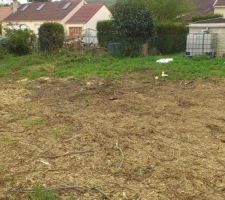 Ayé, les arbres et les souches ont disparus ;o)