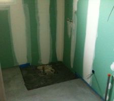 La chappe lisse avant le carrelage, réservation pour la douche italienne !!!