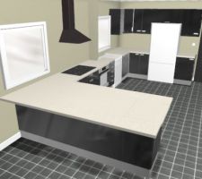 Enfin ! on a finalisé les plans de la cuisine aujourd'hui.
Achat demain :-)

Le plan de travail sera fait sur mesure, là il manque des bouts sur le plan(au-dessus du lave-vaisselle notamment)
et un évier sera placé juste à côté du lave-vaisselle (la fenêtre est coulissante)