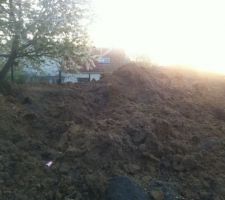 Pas besoin de planter une haie...