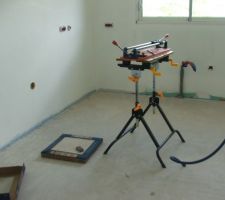 Notre amie la carrelette