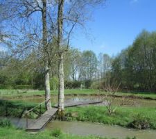Un coin bucolique en Bourgogne...passerelle et ponton faits maison.