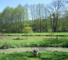 Vu le niveau du ruisseau, il a bien plu les derniers jours.