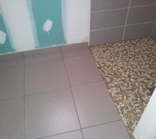 Salle d'eau chambre parentale