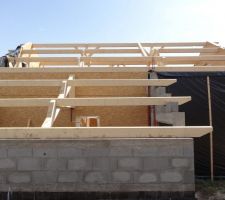 Les pannes du garage et de la maison.