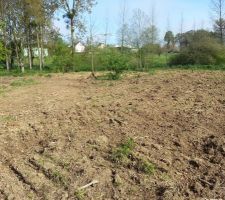 La partie inondable du terrain, après le passage du tractopelle.