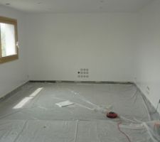 Le salon est peint.... enfin presque