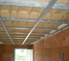 Rail du plafond