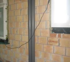 Ventilation fosse septique