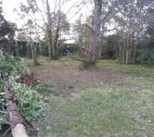 Le terrain "avant" : débroussaillage