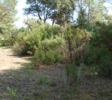 Ma premi&egrave;re visite sur le terrain. 
l&agrave; c'est l'entr&eacute;e sur le terrain.