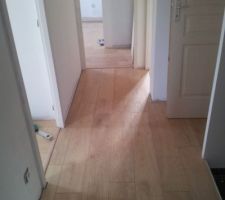 Parquet couloir.