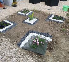 Plantation en cours... Première fois de notre vie, donc la technique n'est pas parfaite loin de la !