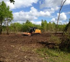 Dessouchage en cours !