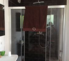 Porte de douche RDC install&eacute;e !