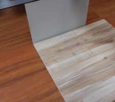 Choix parquet et essai teinte murale pour la chambre d'amis. Les plinthes seront dans tous les cas blanches